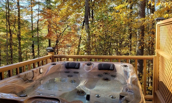 Hot Springs Cabin | Couples Cabin w/King Bed, Wi-Fi, Hot Tub, & Grill in WNC Mtns