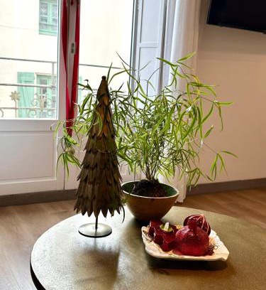 Cite Apartment | Coural' Chic