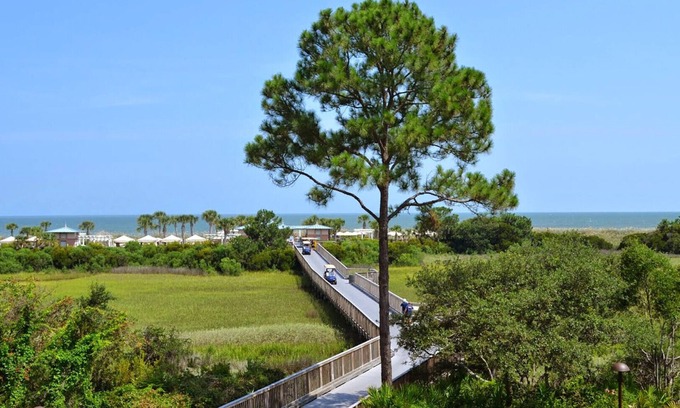 Palmetto Dunes Resort | Courtyard View - 2 Bedroom - Marriott's SurfWatch - Full Resort Access