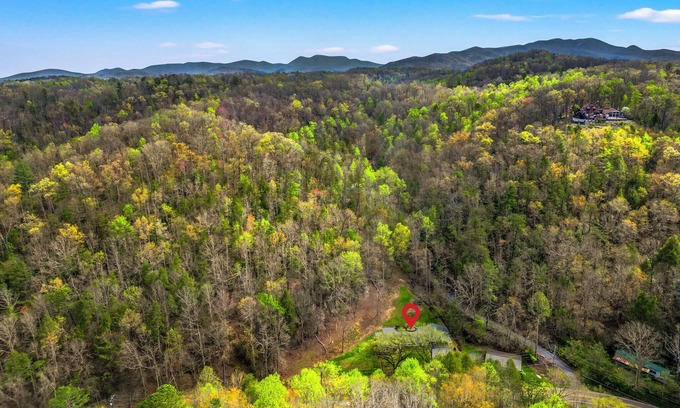 Gatlinburg - Pigeon Forge Cabin | Coveted Ranch Floorplan, Arts and Crafts, Pet Friendly -Large Fenced in Yard.