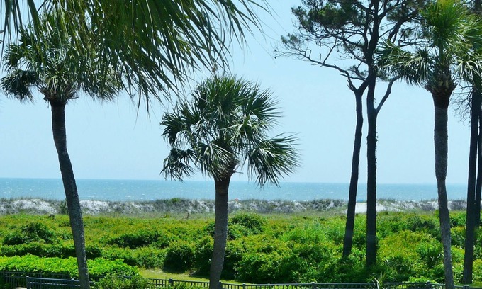 Hilton Head Island Condo | Cozy 1 bedroom Beach Condo w/ocean view