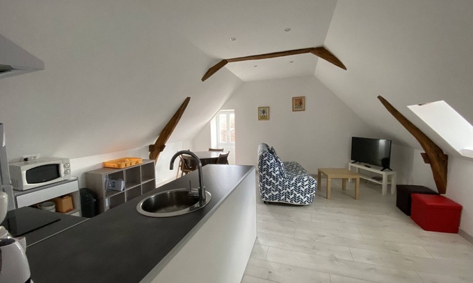La Roche-Posay Apartment | Cozy 1-Bedroom Apartment Near Saint Roch Thermal Baths, La Roche-Posay