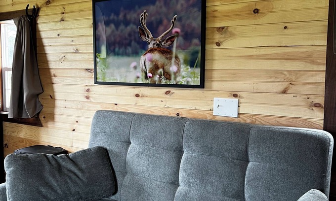 Barton County Cabin | Cozy 1-bedroom cabin in charming Lamar MO with AC