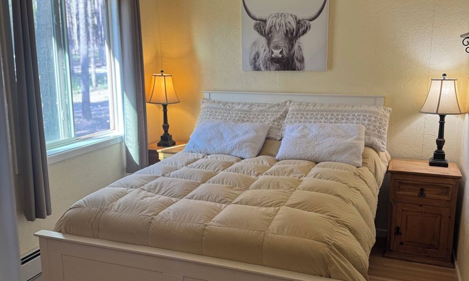 Casper Mountain Cabin | Cozy 1-bedroom cabin on Casper Mountain set upon 6 acres of peaceful forest.