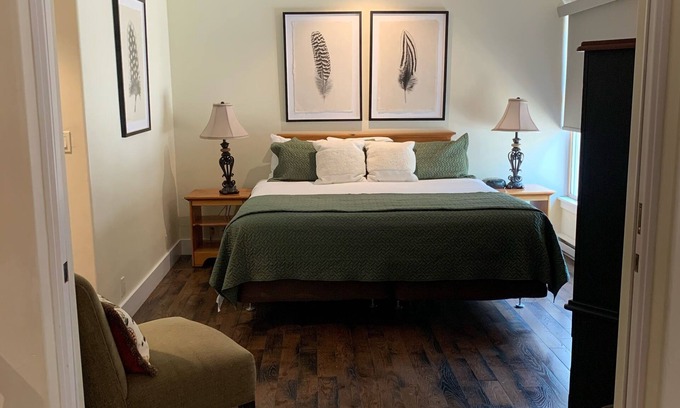 Telluride Condo | Cozy 1BR condo, 5 min walk to town center, ski in, walk to chairlift, fireplace!