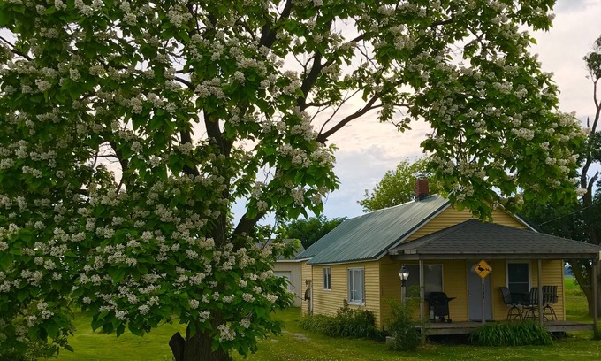 Unionville Cabin | Cozy 2 bedroom cabin in country setting near Saginaw Bay & Fish Point.