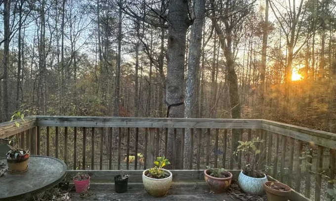 Snellville House | Cozy 3 bedroom 2 bath home with wooded deck view, fenced yard, allows pets!