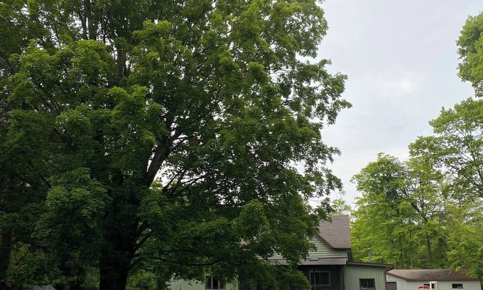 Washington Island Cottage | Cozy 3-bedroom cottage with WiFi in Washington