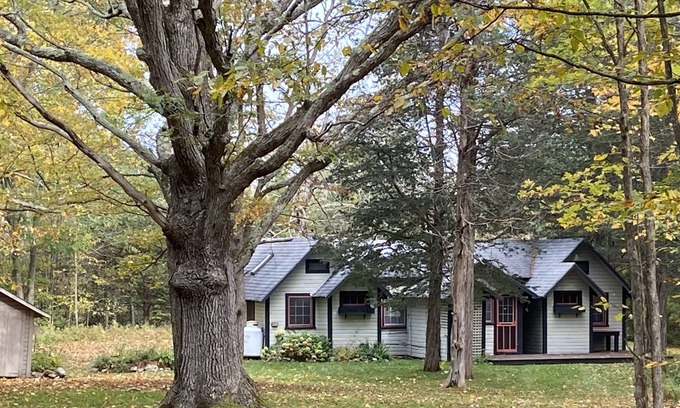 Crater Club Cabin | Cozy Adirondack Cabin w/Private Lake Access!
