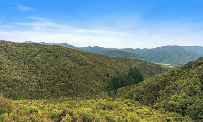 Eketahuna Cabin | Cozy back country hunting cabin. Peace, quiet and miles of bush.