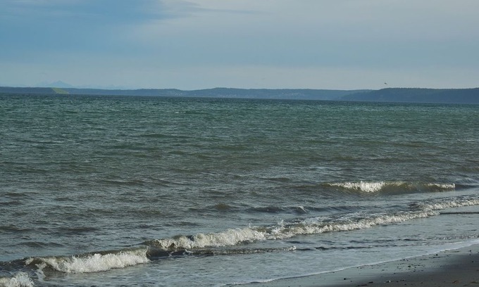 Sequim House | Cozy Beachfront Garden Cottage, beautifully maintained