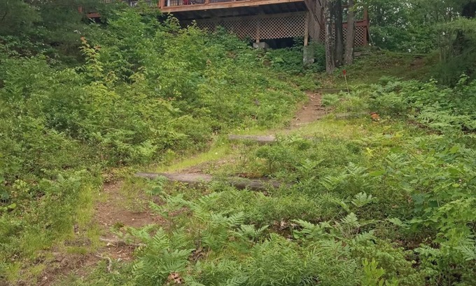 Minden Hills Cottage | Cozy Cabin in woods! Minden area! Very quiet, private! On Little Gull Lake.