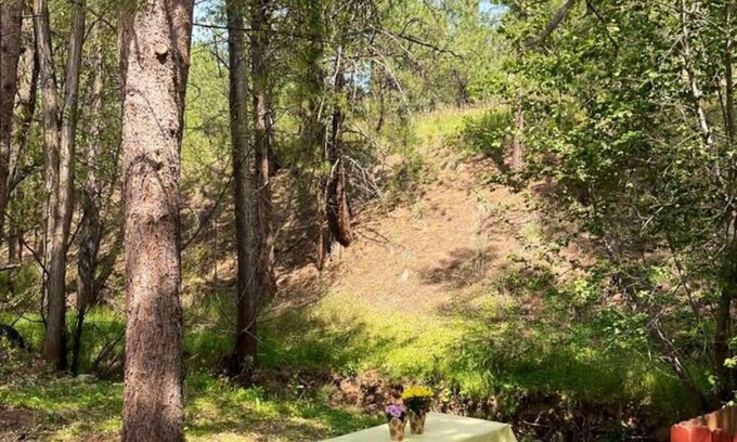 Cascade-Chipita Park Cabin | Cozy Cabin with Creek in Cascade-Chipita Park