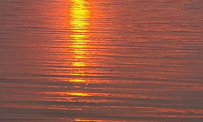 Camano Island Cabin | Cozy cabin with AC & WiFi in charming Camano Island. Walk to beach.