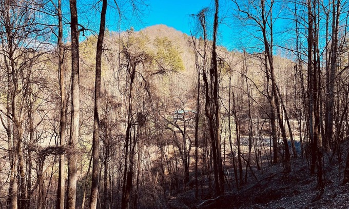 Robbinsville House | Cozy Cabin With Incredible Views - Hikers/Bikers/Anglers/Hunters Welcome