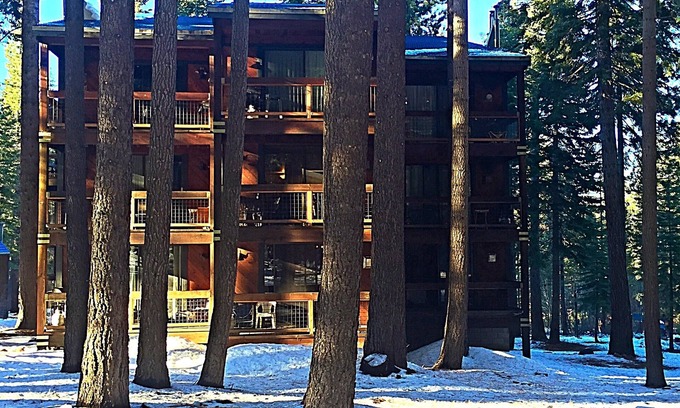 Truckee Apartment | Cozy Condo in a Peaceful Forest Setting, Quick Walk to Village, Pet-Friendly
