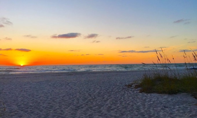 Indian Shores Condo | Cozy Condo on the Beach