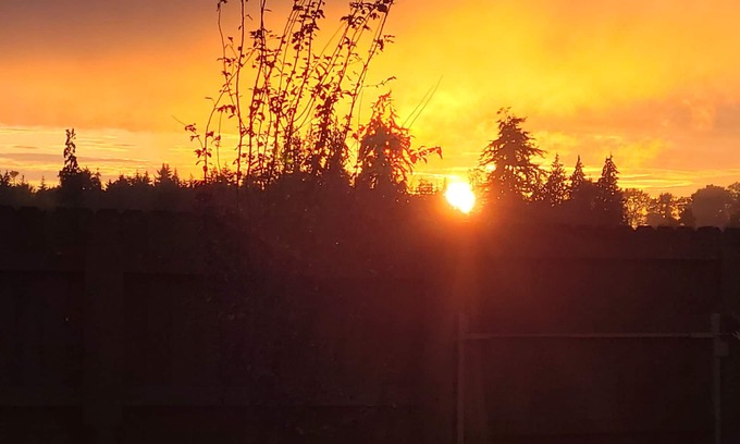 Sequim Apartment | Cozy Cottage Retreat – Private Yard, Sunset Views & Peninsula Access