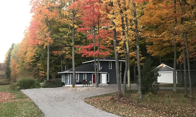 Bellaire Ski Chalet | Cozy Family Cabin in Schuss Village-Book now for Summer Fun!