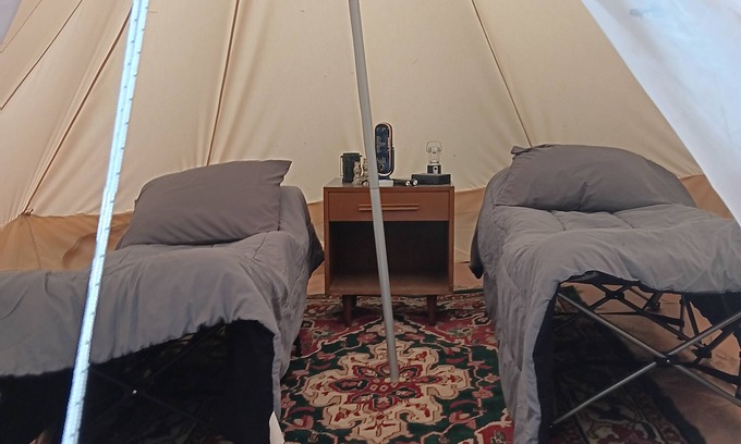 Palestine RV Rental | Cozy Glampsite at The Fabulouse Bok Vegas Interactive Petting Zoo and Farm