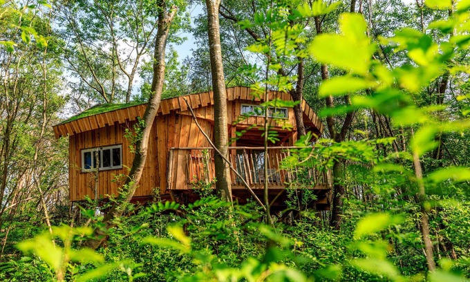Hoogersmilde House | Cozy home in Hoogersmilde with WiFi