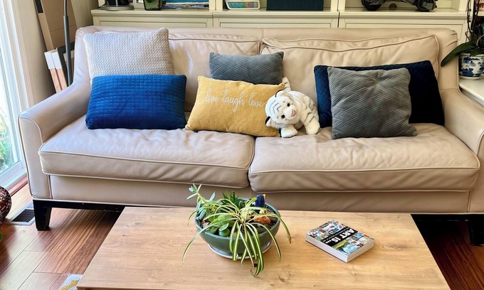 Orinda House | cozy home in serene town of orinda