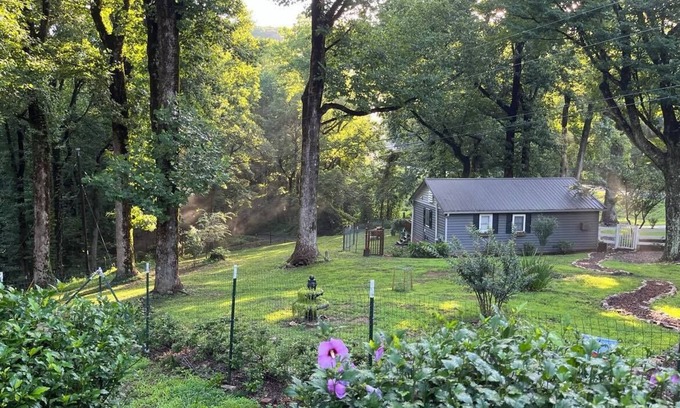 Jasper Cabin | Cozy mountain cabin on 15 acre Animal Sanctuary