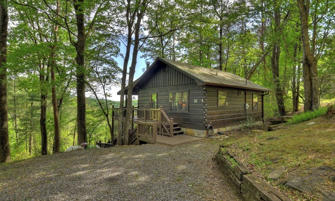 Ellijay Cabin | Cozy Mountain indulges pets amidst scenic vistas, featuring a hot tub, gas fire pit, and seamless WiFi connectivity