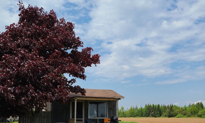 Gaspereaux Cottage | Cozy oceanview cottage Overlooking the Northumberland Strait
