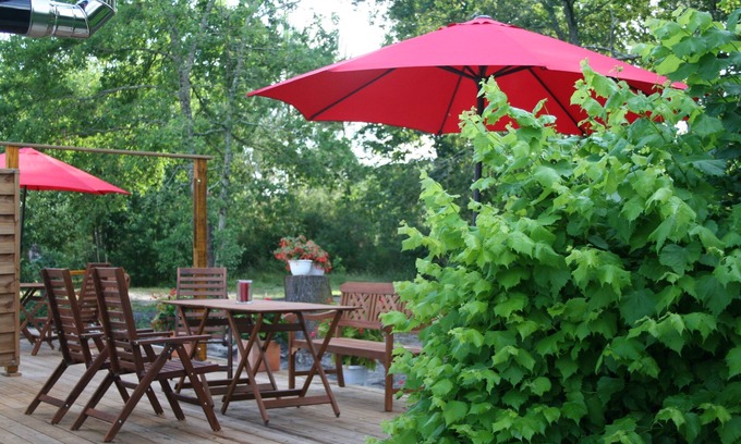 Brach Apartment | Cozy, quiet apartment in the pine forest with a huge garden and animals.