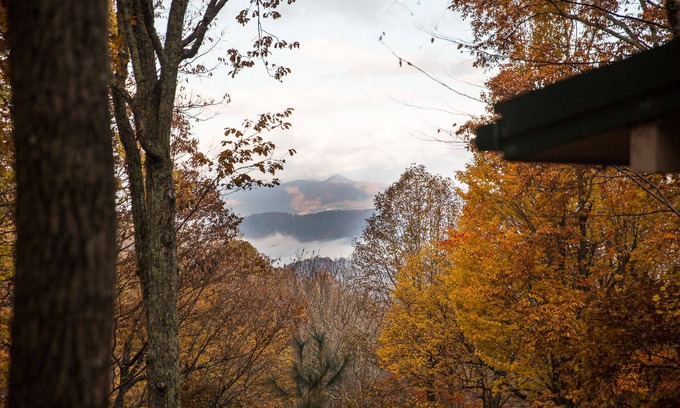 Waynesville House | Cozy Renovated Mountain Escape, 10 min to downtown Waynesville & Lake Junaluska,
