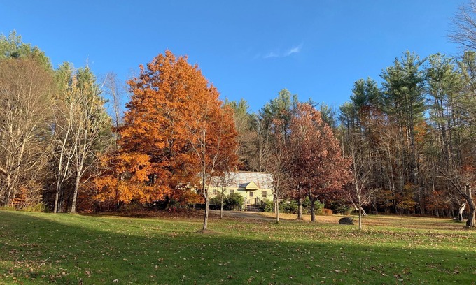 Rowe Bed & Breakfast | Cozy Retreat in the Berkshires - Prue Berry Room in Orchard Guest House