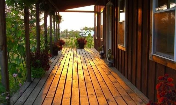 Valois Cabin | Cozy, rustic cabin with beautiful views, privacy, and 1 mile from Keuka Lake