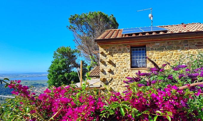 Massarosa House | Cozy Rustico with garden, sea-lake view, air cond. WIFI, washer, near PISA LUCCA