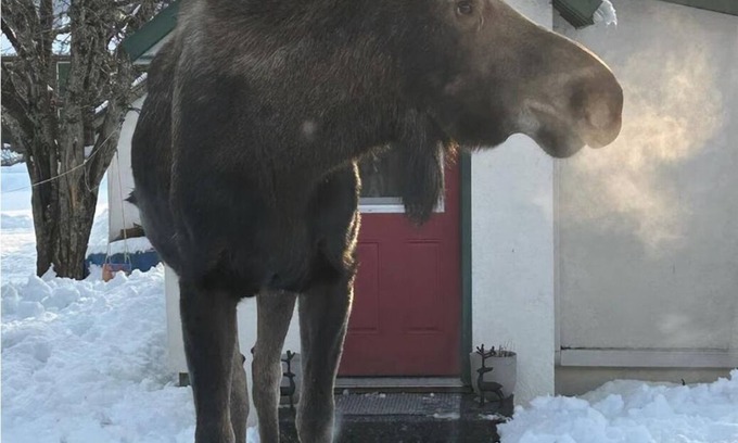 Seward Cottage | Cozy Seward Cottage: Amazing Location in the middle of town. Pet-Friendly!