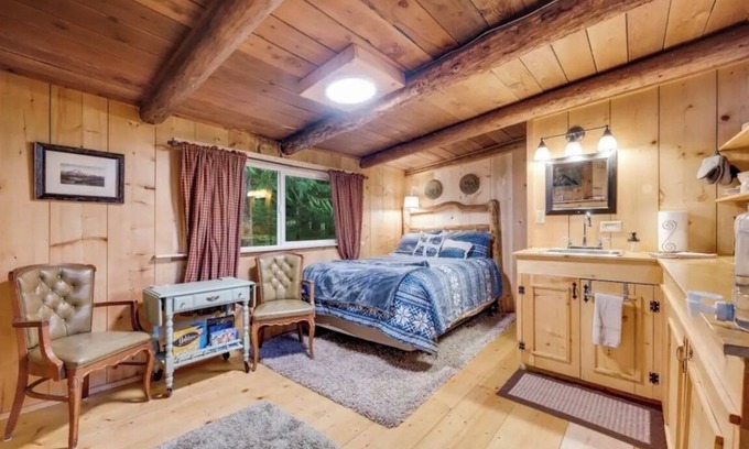Ashford Cabin | Cozy studio cabin, nestled in the trees, under a mile to Mt. Rainier entrance.