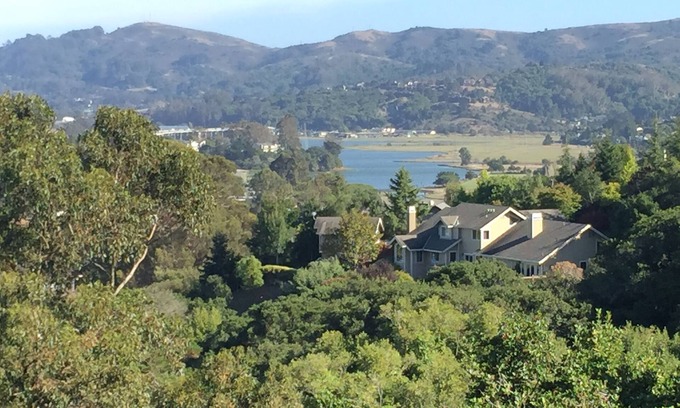 Mill Valley Apartment | Cozy Studio In The Hills Of Mill Valley.