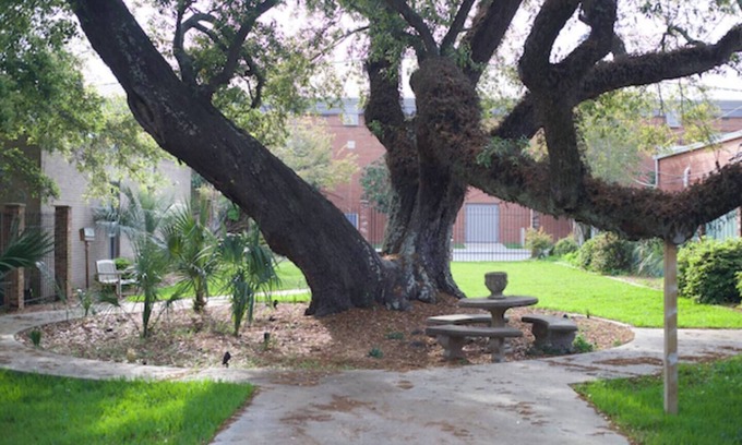 Pascagoula Apartment | Cozy Stylish Executive Studio, Great Downtown Pascagoula Location