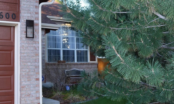 Aurora Highlands House | Cozy & Stylish Walkout Basement Apartment