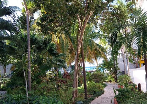 Runaway Bay Apartment | Cozy Villa Escape
