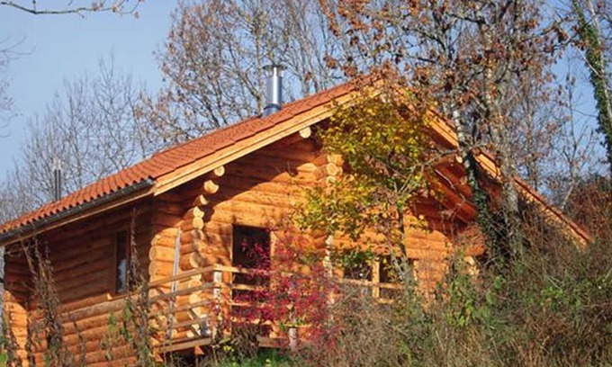 Saint-Martin-la-Sauvete Cottage | Cozy wooden chalet with terrace, internet, and pets allowed