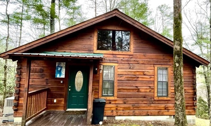 Tellico Plains Cabin | Crazy Bear, Studio, King Bed, Kitchen, Hot Tub! by RedAwning