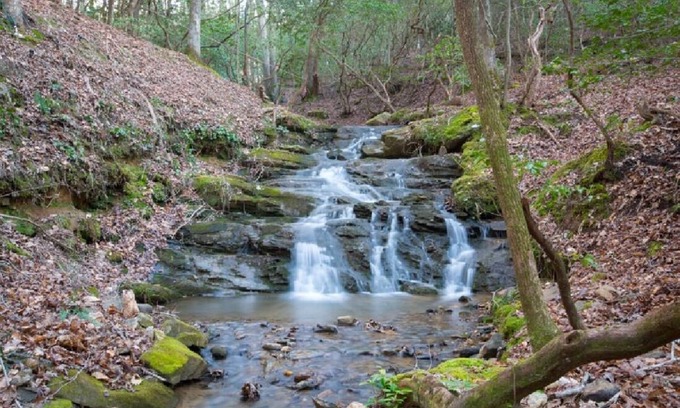 Ellijay Cabin | Creekfront Cabin with Waterfall. Hot Tub, Fire Pit, Gameroom, and more.