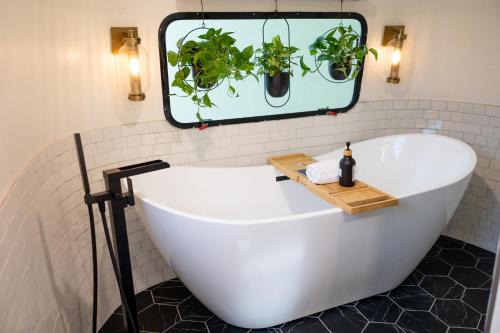 Pisgah Forest Villa | Creekside Fern