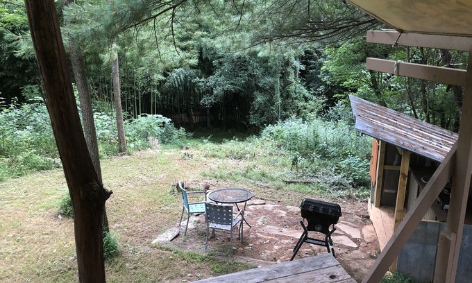 Candler Cabin | Creekside Glamping - 20 minutes from downtown Asheville