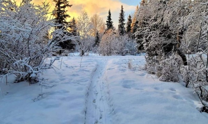 Taku - Campbell House | Creekside Home: Wild Alaska Living Centrally Locat