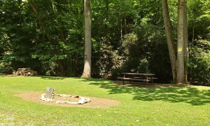 Murphy RV Rental | Creekside, Private property. No crowds. Quiet. Fly fish out your door. RV site