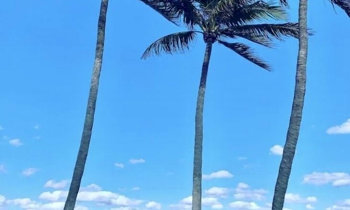 Deerfield Beach Condo | Crystal Blue Wave Beach Ocean Condo!