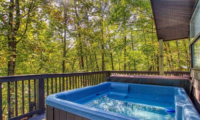 Sevierville Ski Chalet | Cub's Corner - Near Pigeon Forge, FREE Attraction Tickets!!!