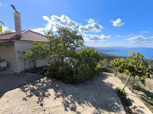 Gefira Mpania House | Cuckoo's view